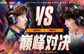 Rogue绝地反击DK，Crisp绝境逆转的简单介绍