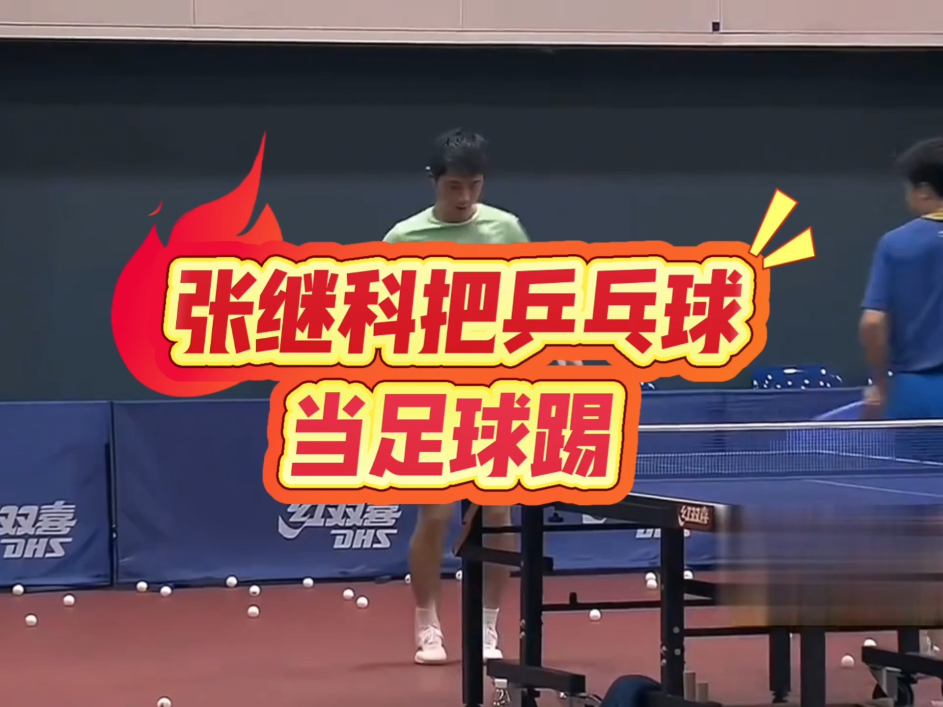 德国乒乓球队翻盘法国乒乓球队，张继科制霸全场的简单介绍