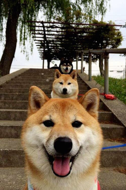 精密武器与幸运硬币，当哈斯终结钢铁侠的豪华游戏，勒克莱尔却刻下了新碑文