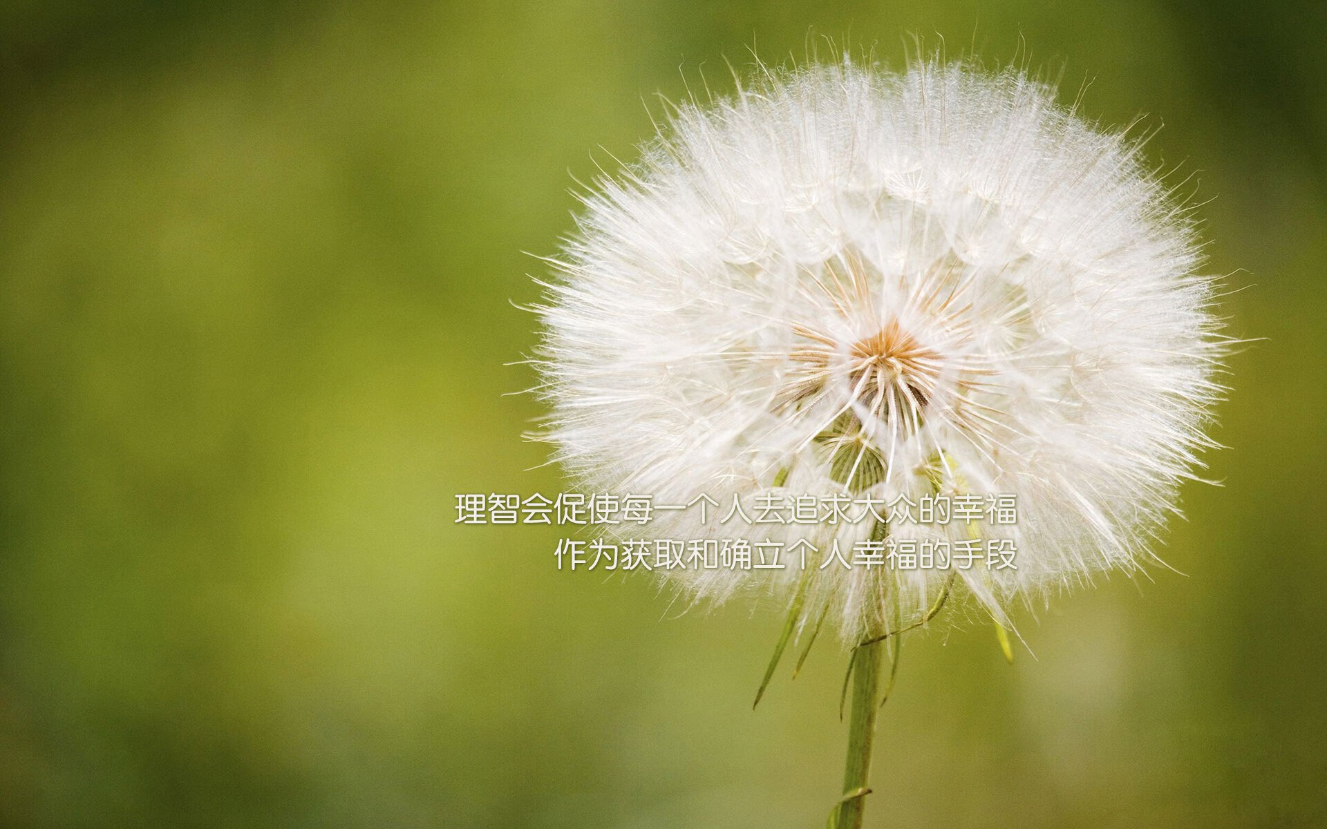 跨界交响，当F1争冠夜遇见约基奇的篮球魔法