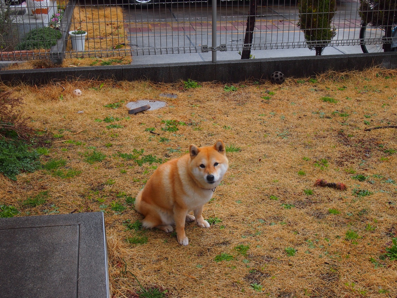 中场幽灵，当荷兰遇上英格兰，是谁在暗处奏响卡塞米罗的节拍器？