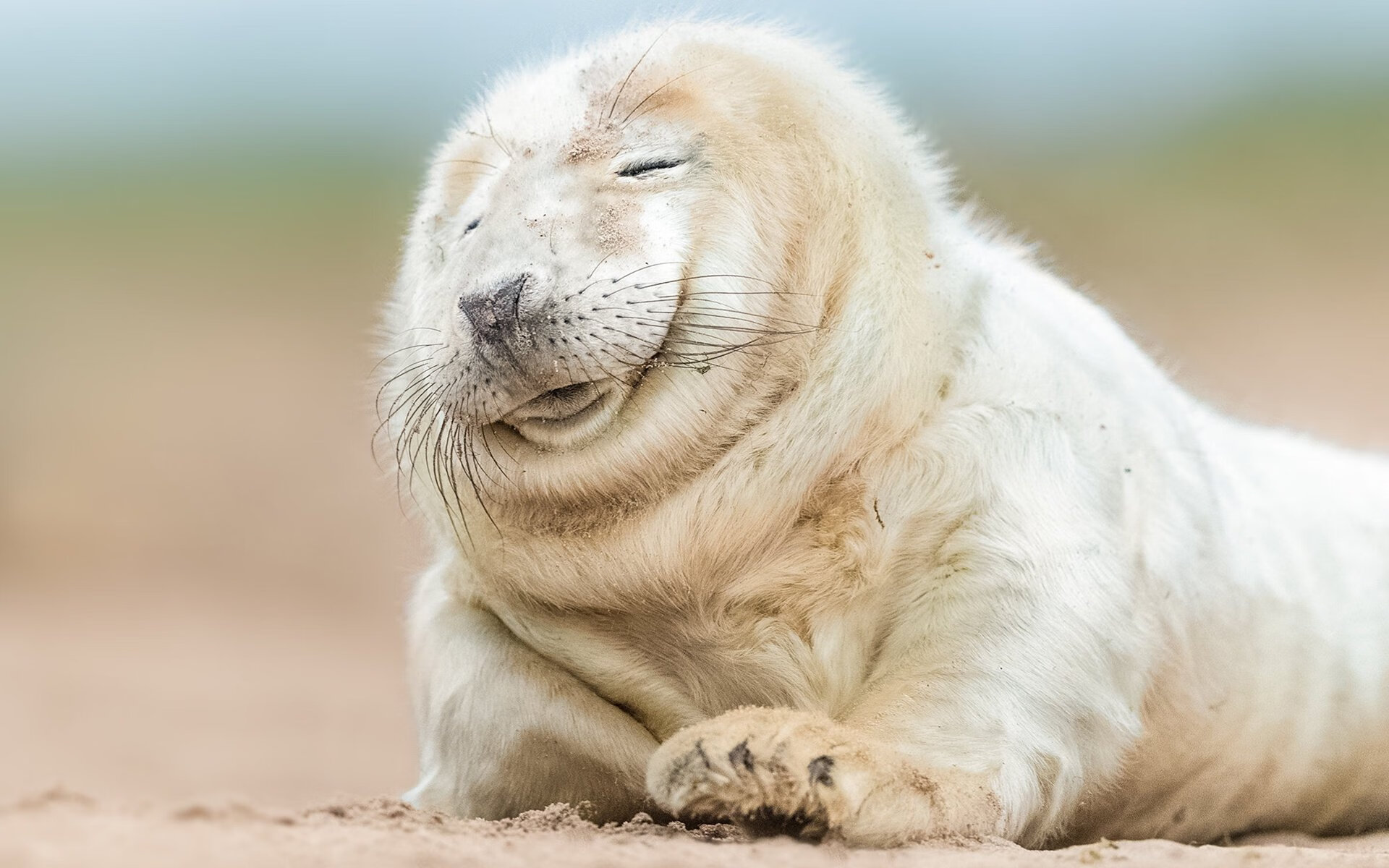 爵士战术密码与拉文表演时刻，当团队交响乐遇见个人奏鸣曲