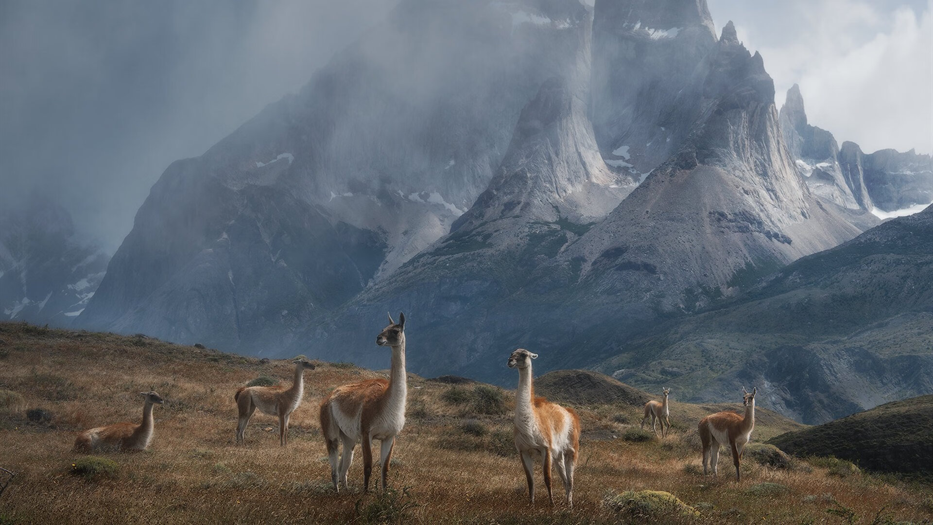 次元壁破裂的篮球周末，当辽宁队末节带走爵士，拉梅洛在西决生死战接管比赛
