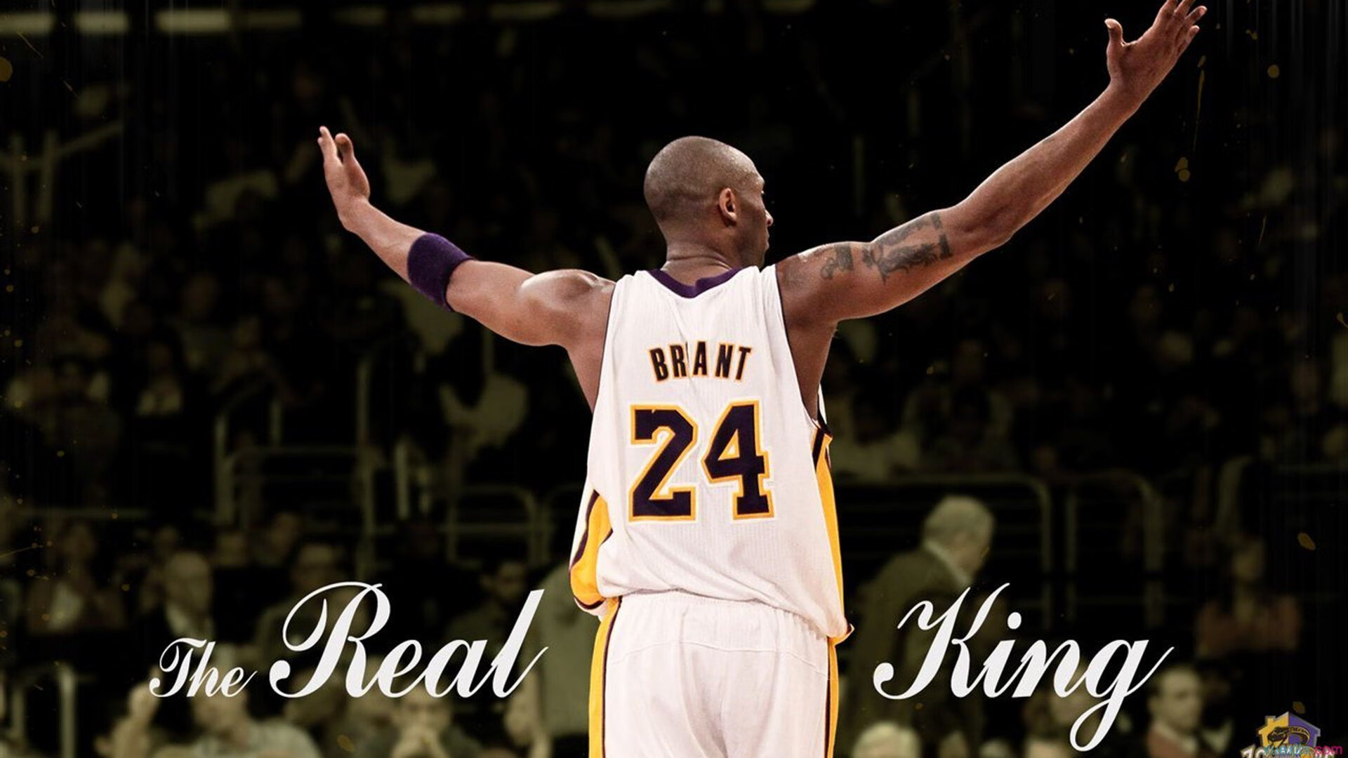 赛道无国界，体育精神联结世界的时刻