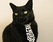 跨越竞技场域的共同心跳，当爵士太阳的战场映射英超争冠的硝烟