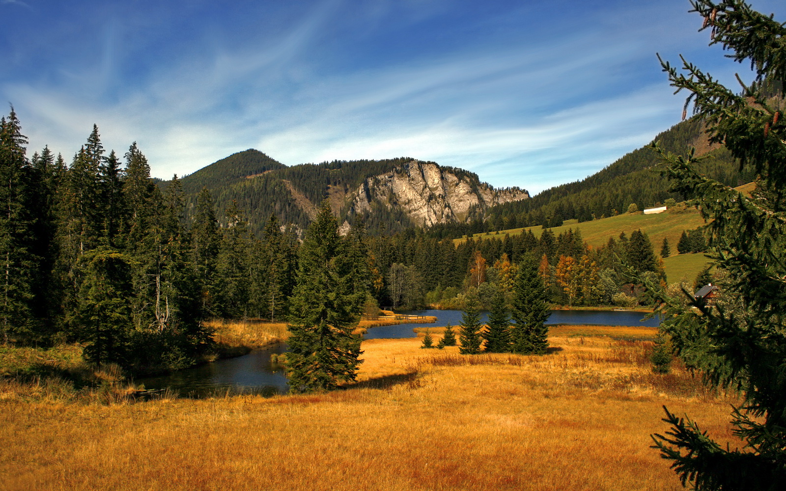 当钢铁洪流遇上东方天网，锡安成破局胜负手，浙江队防守艺术锁死雷霆