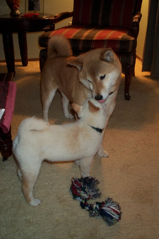 改写历史的相遇，几内亚国家队欧冠赛场击穿莱比锡红牛的多特蒙德之殇