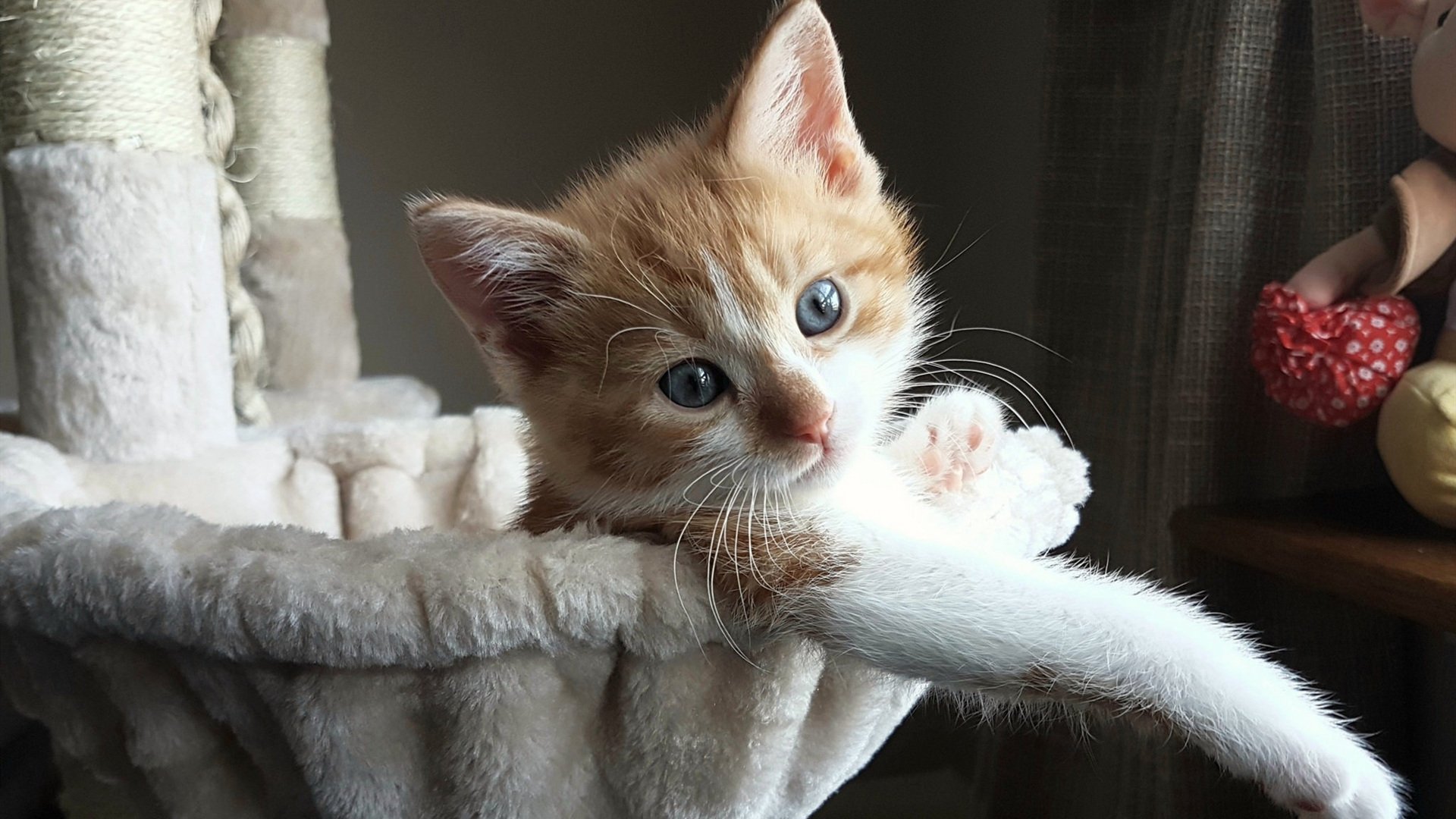 时空错位的绿茵交响，当迦太基雄狮碾过卡尔德隆，蒂亚戈成为唯一的坐标