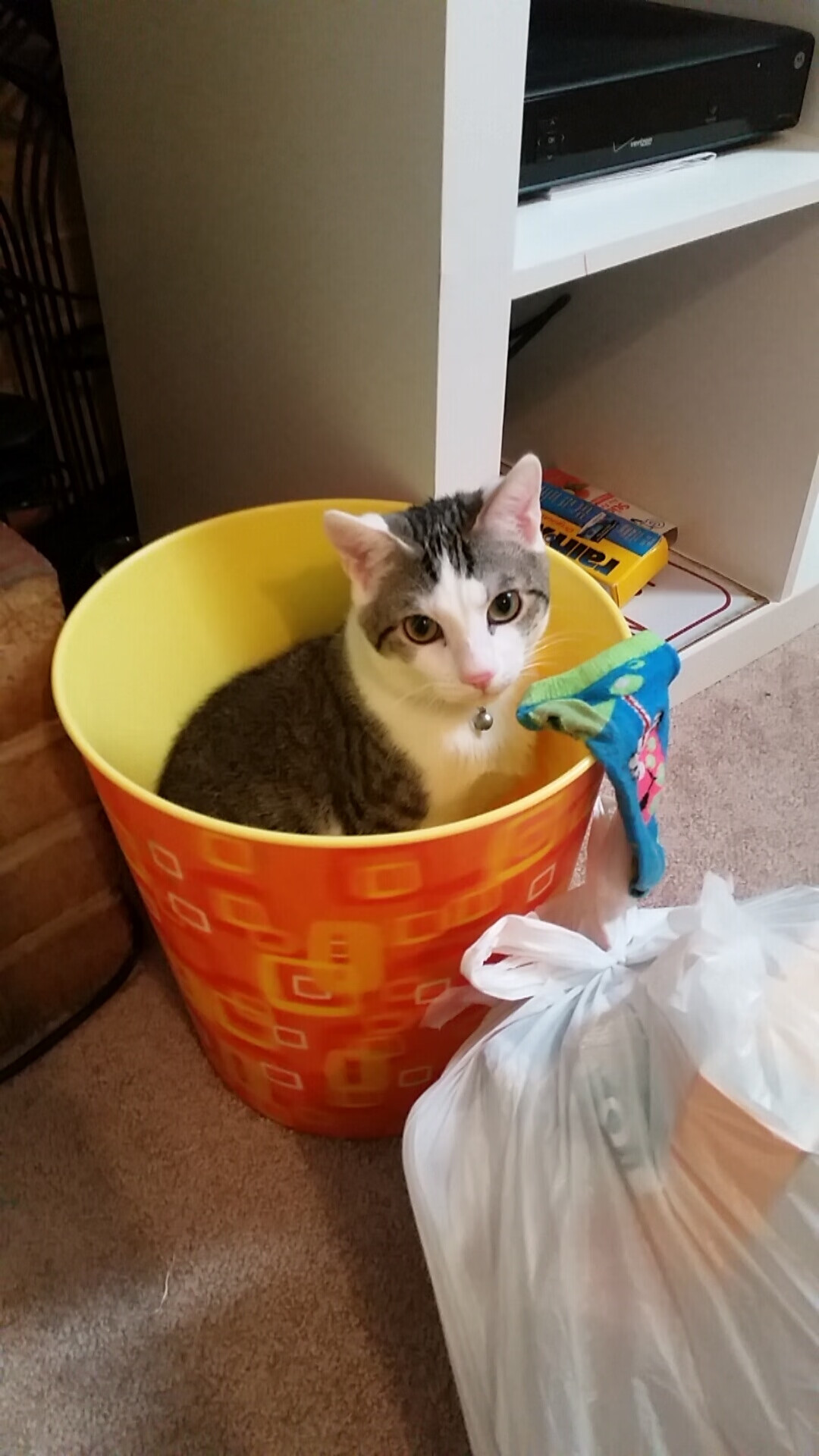 韩国力量闪耀摩纳哥！欧冠决赛巅峰对决，巴尔韦德一剑封喉问鼎欧洲之巅