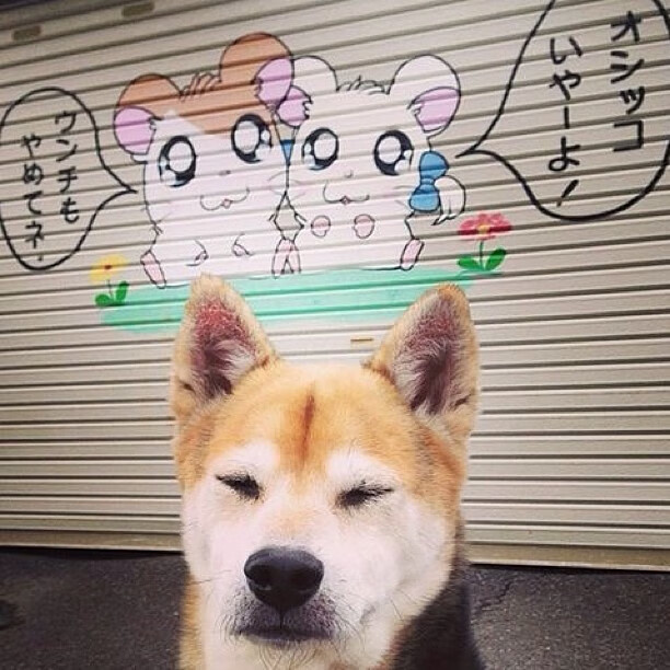 根据您的要求，为您构思了几个不同侧重点的标题，并选取其中一个展开文章内容