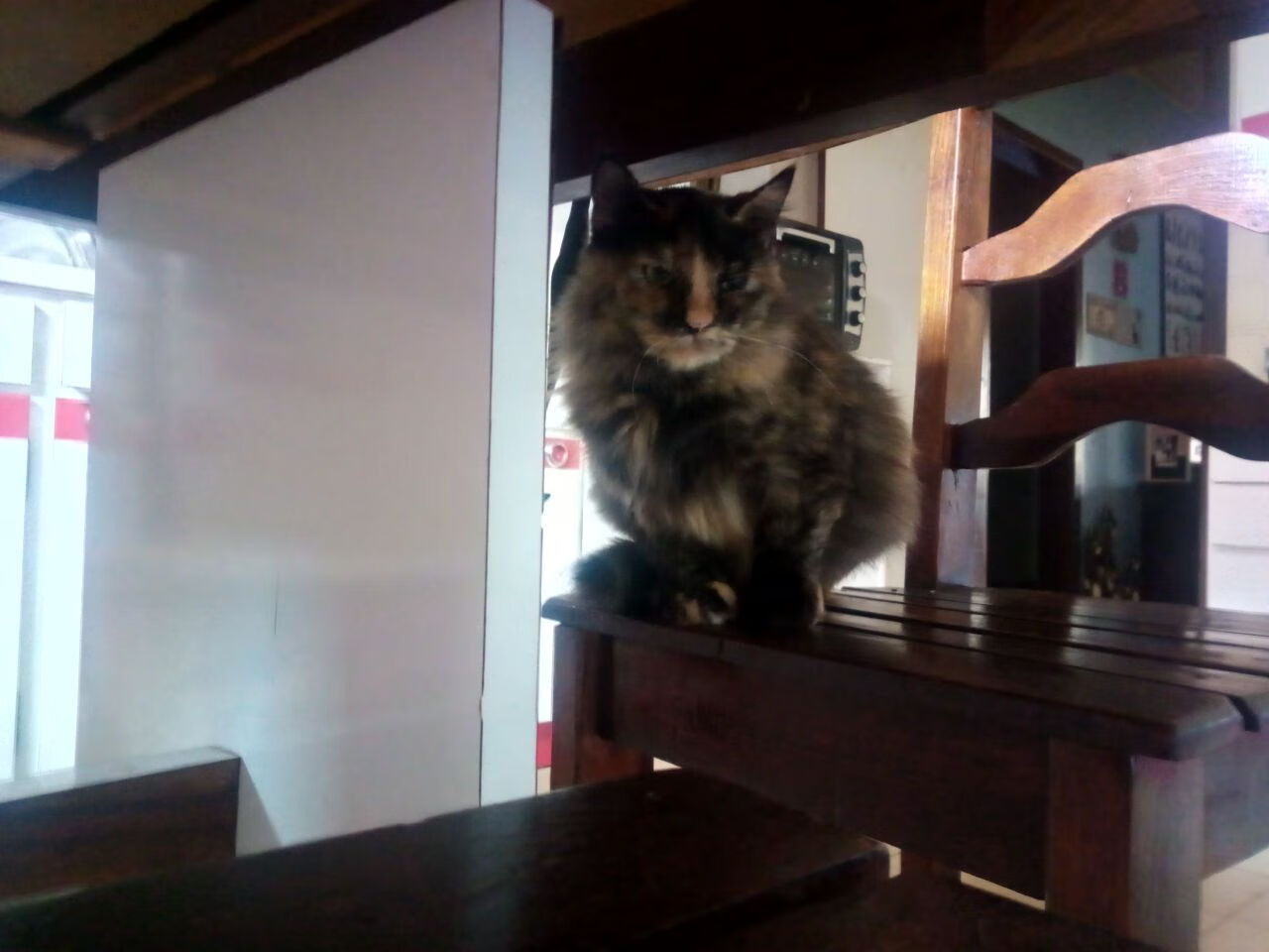 开云体育中国-百分百唯一性，文班亚马让76人全队变成赛后背景板