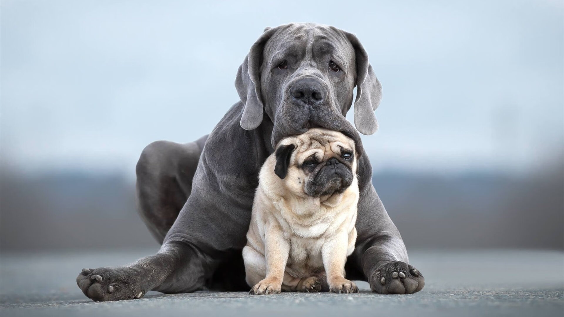 指挥家与乐章的终结，当米切尔的关键奏鸣曲熄灭迈阿密热火