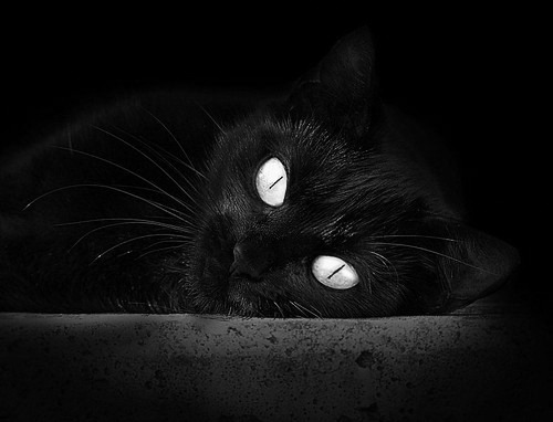 冰与火之歌，雄鹿加时险胜新疆，布克末节狂飙定乾坤