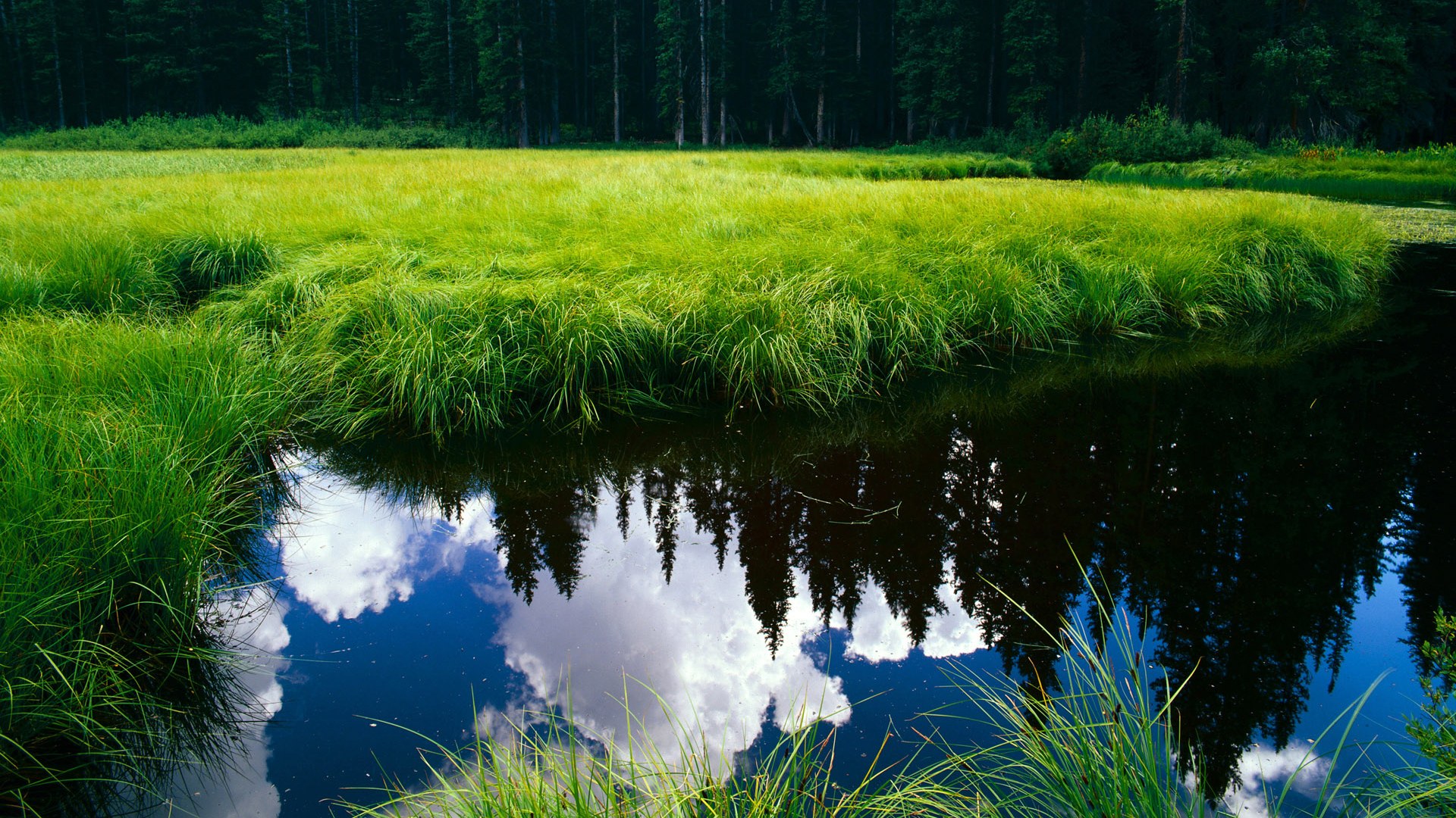 从基多到巴黎，厄瓜多尔一波带走晋级路，皮克成逆转钥匙