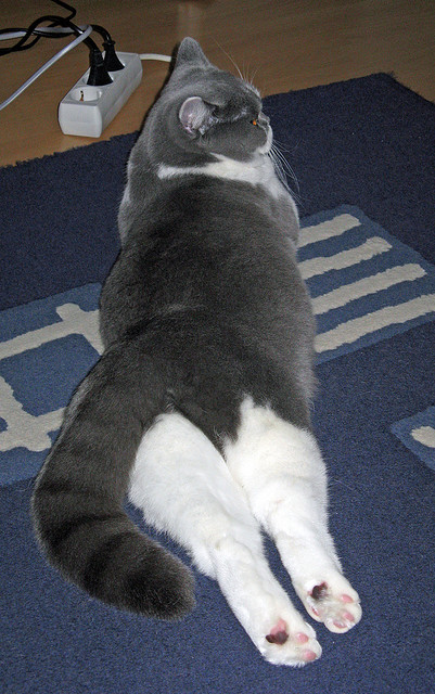 稳定，德布劳内的匀速与西班牙的破局