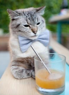 (扩展思维后的标题)费城奇兵克莱闪耀,攻防一体制胜,76人主场力擒篮网中的克莱使用了引号,暗示此克莱非勇士队的克莱·汤普森,而是76人阵中一位姓名或特质相似的关键贡献者,制造悬念和独特性)